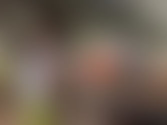 🚨קשה לצפיה 🚨-התעללות קשה וירי קטלני בבעלי חיים