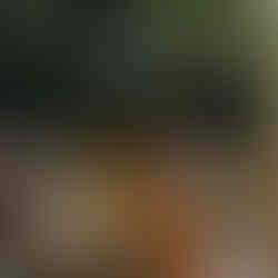 Women parting at Zorba Tulum