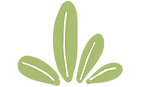 Green leaf graphic used as a section divider.