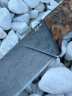 d1e072a3-a979-4e1d-b88c-1ae3a67058f5