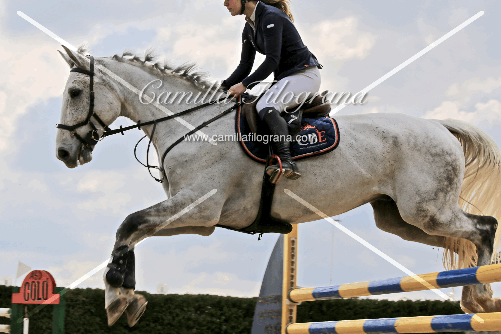 SHOWJUMPING