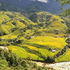 Muong Hoa Valley
