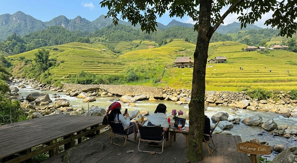 Ngắm lúa chín tại Wecamp Cafe Retreat - Tả Van