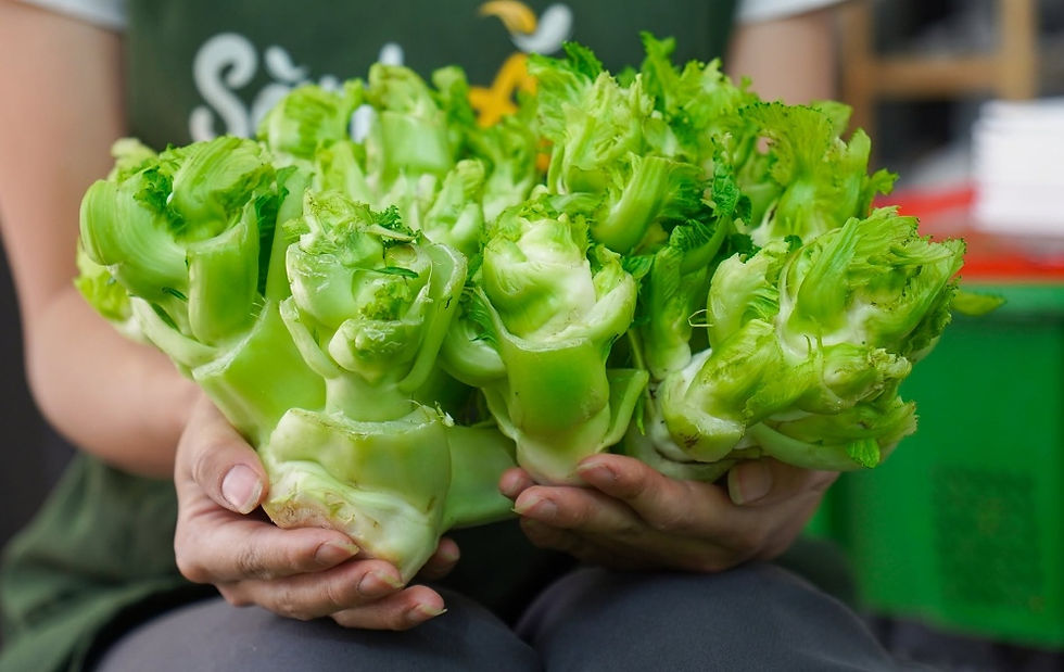Đặc sản Sa Pa - Rau mầm đá