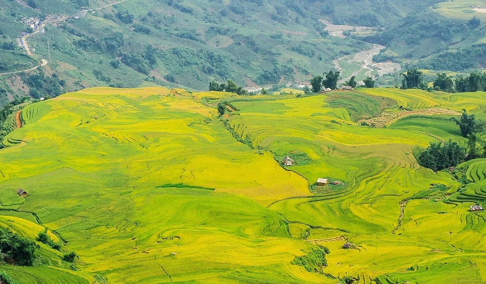 Bản Tả Van mùa lúa chín