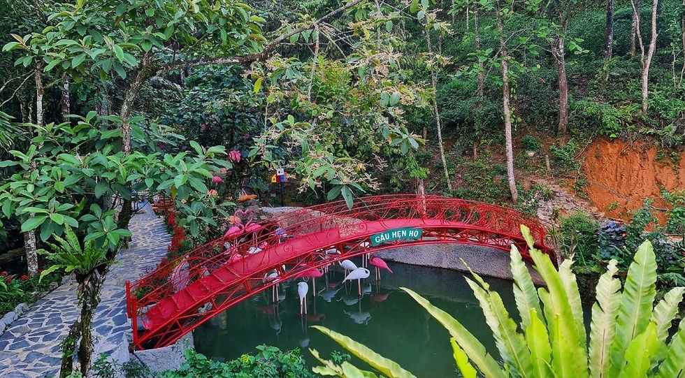 Cầu hẹn hò Thung Lũng Xanh Sapa