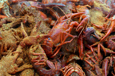 Crawfish getting seasoned.JPEG