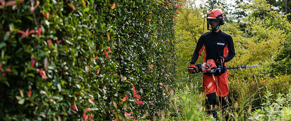 Thumbnail: Echo HC-2020R 2 stroke petrol hedge cutter