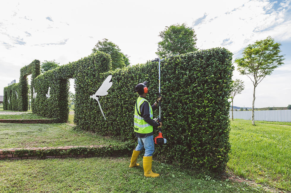 Thumbnail: Echo HCA-2620ES-HD 2 stroke petrol long Articulating long reach hedge cutter