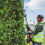 Thumbnail: Echo HCA-2620ES-HD 2 stroke petrol long Articulating long reach hedge cutter