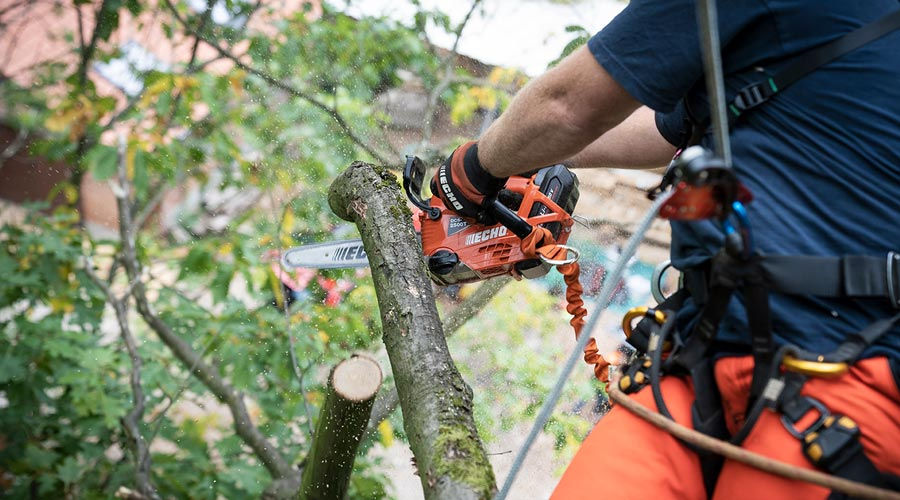 Thumbnail: Echo DCS-2500TC 10" 50V battery chainsaw