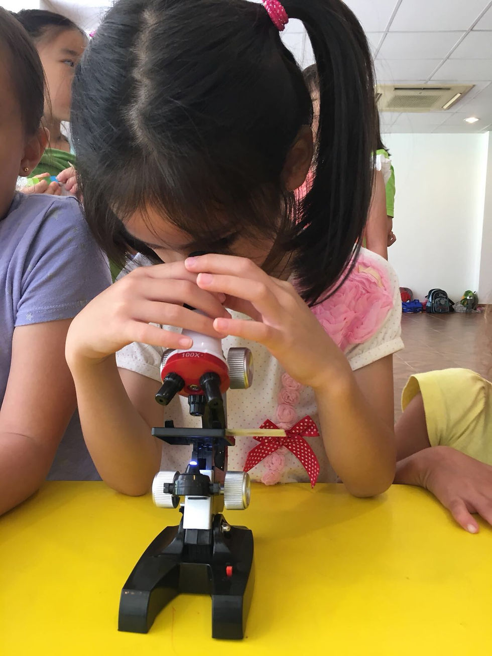 microscope activity