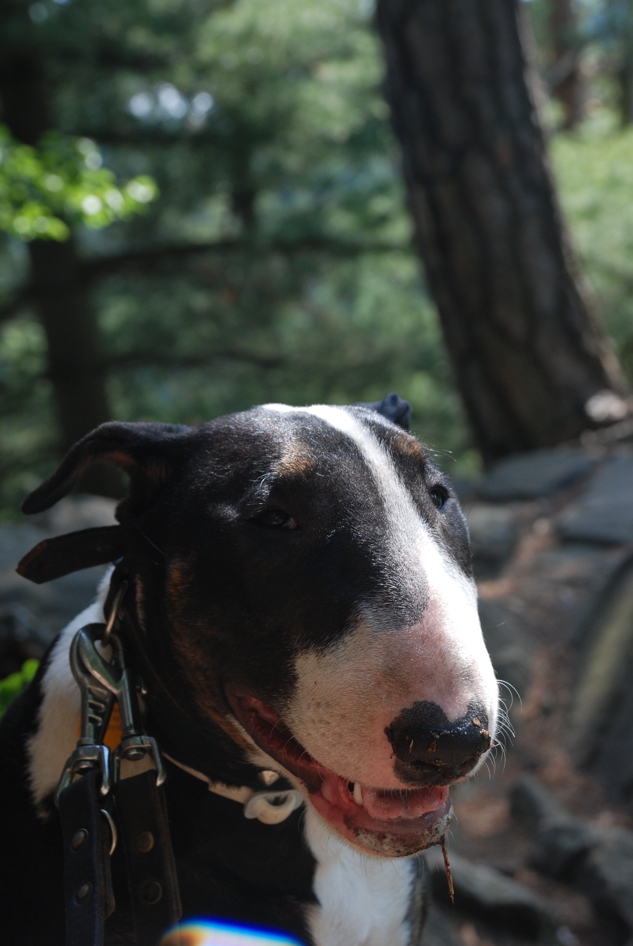 DSC_0031