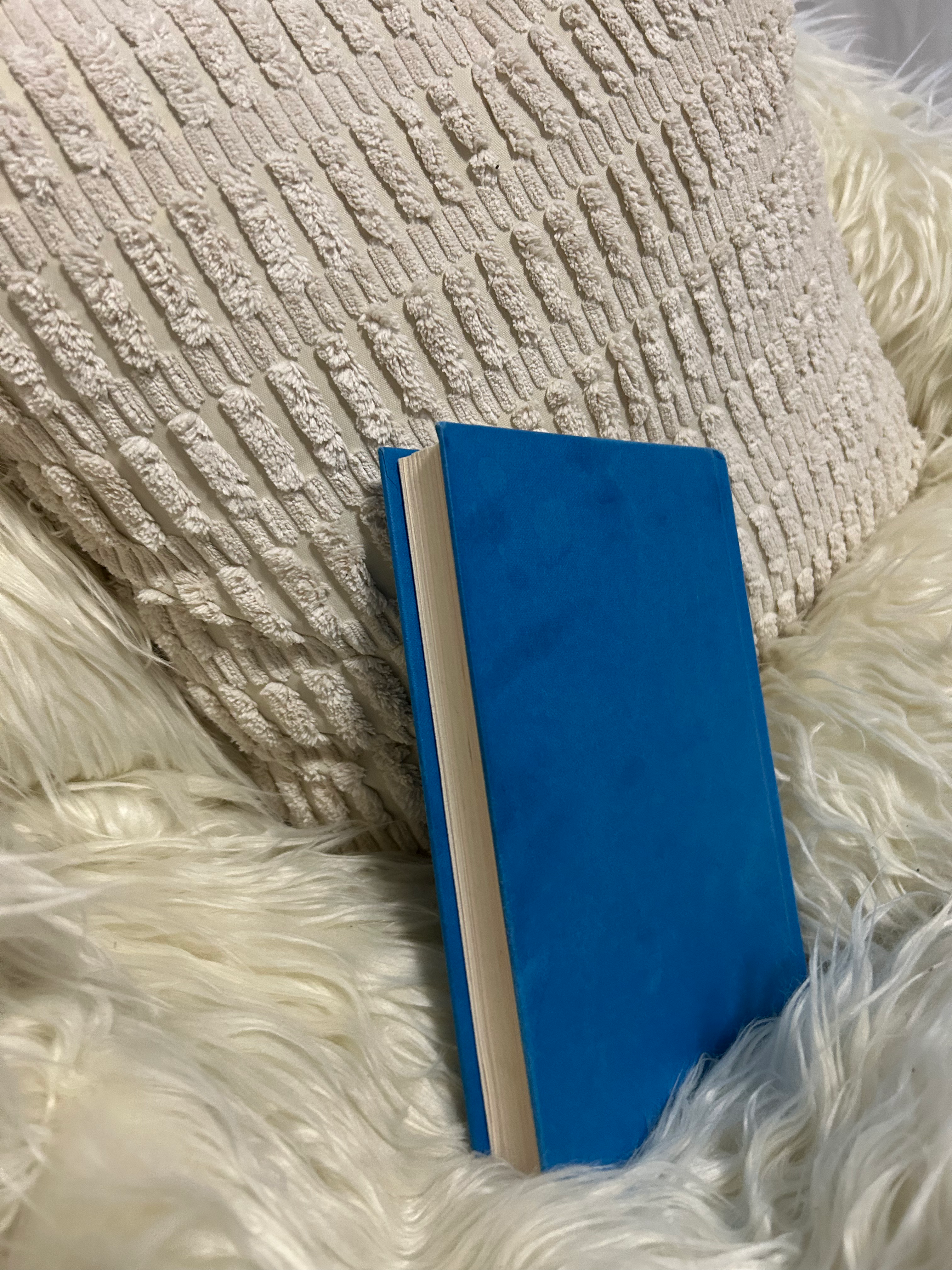 Royal Crush from the notebooks of a middle school princess