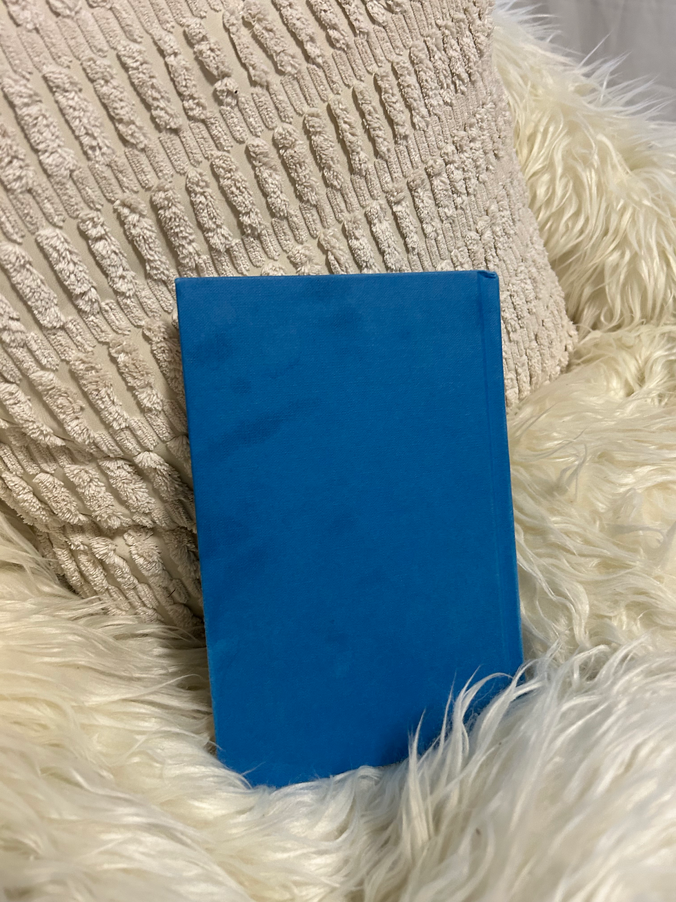 Thumbnail: Royal Crush from the notebooks of a middle school princess