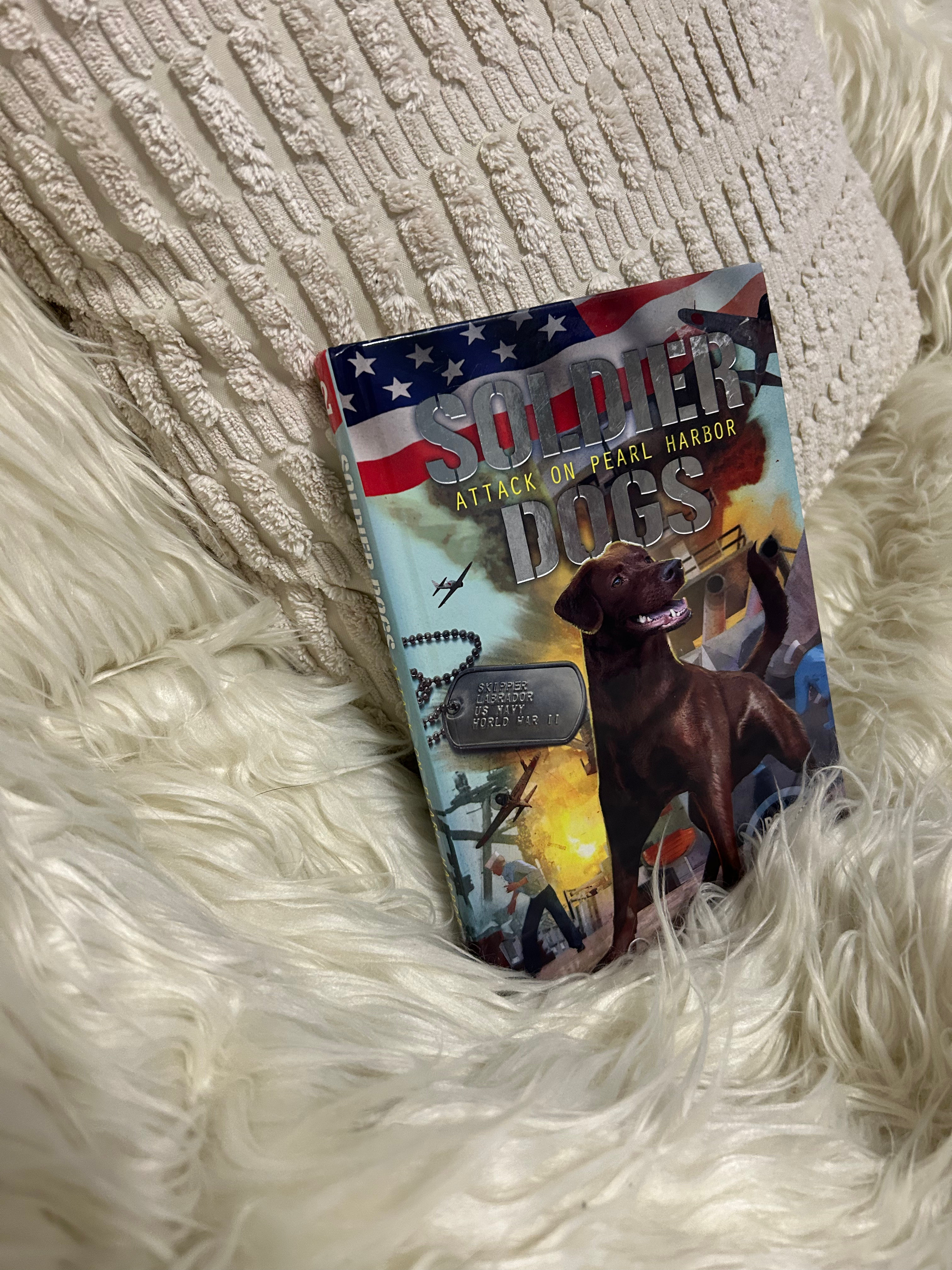 Soldier Dogs attack on Pearl Harbor