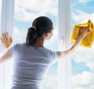 DSouza Cleaning Service