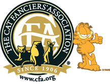 CFA OCICAT Breed council