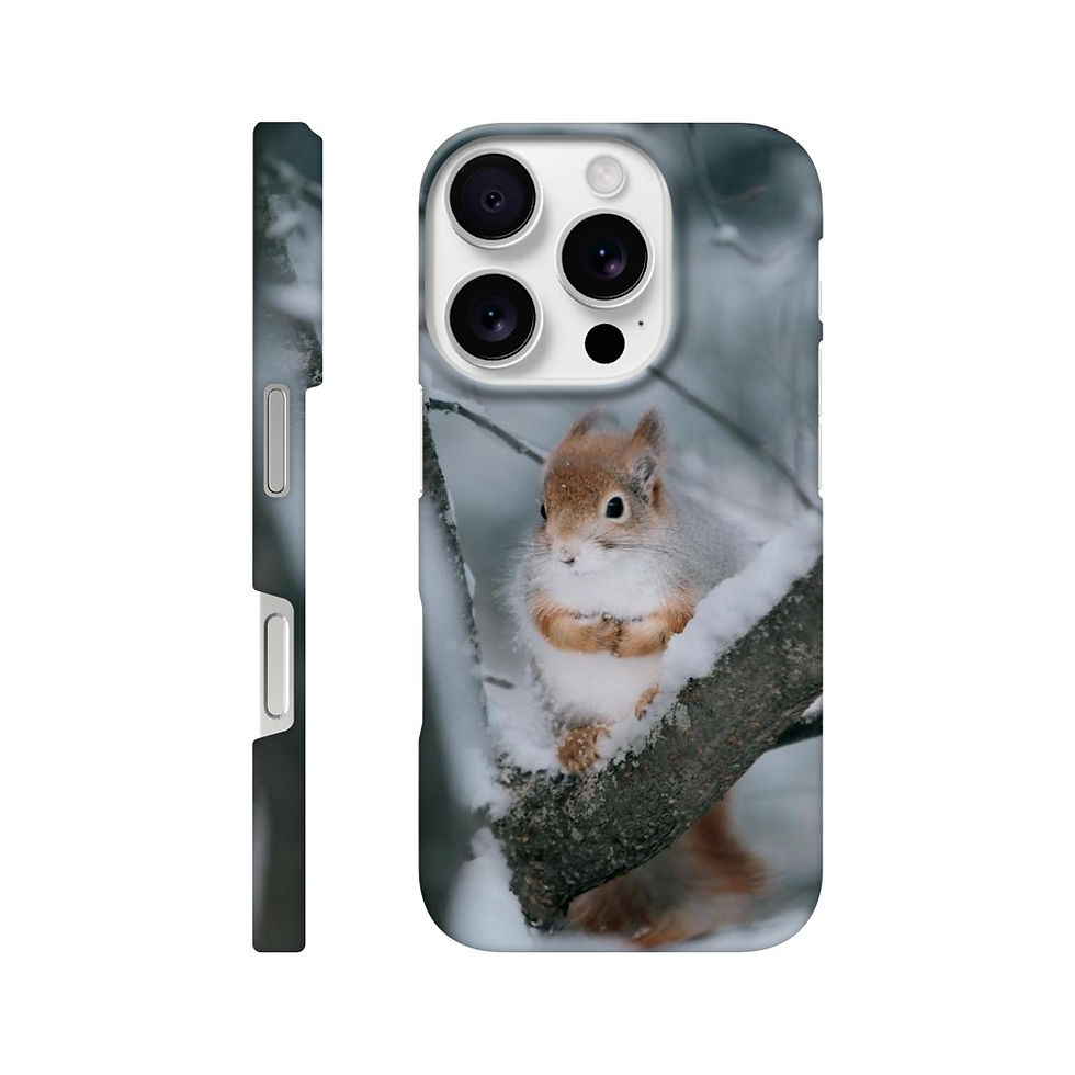 Thumbnail: Slim case