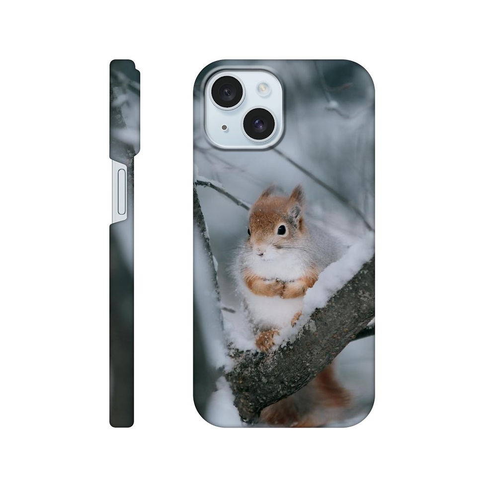 Thumbnail: Slim case