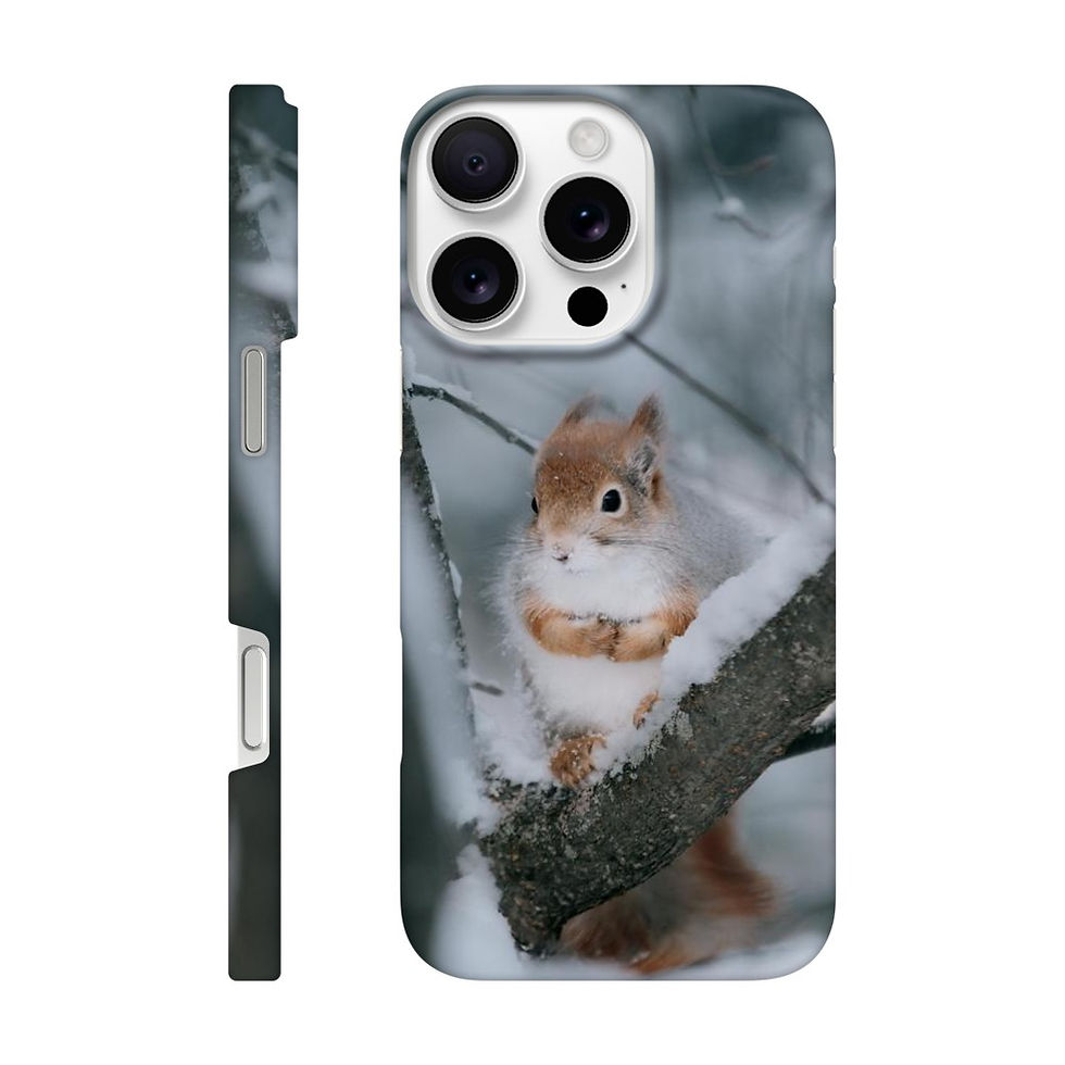 Thumbnail: Slim case