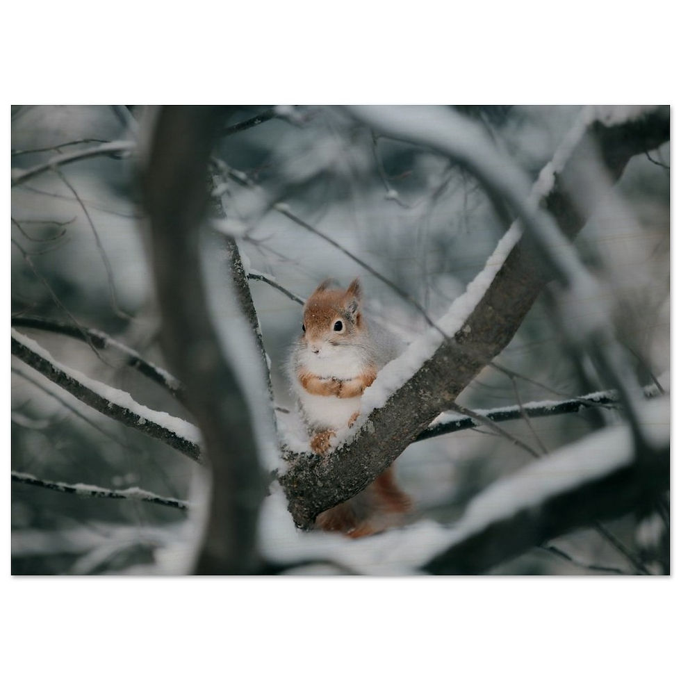 Thumbnail: Wood Prints