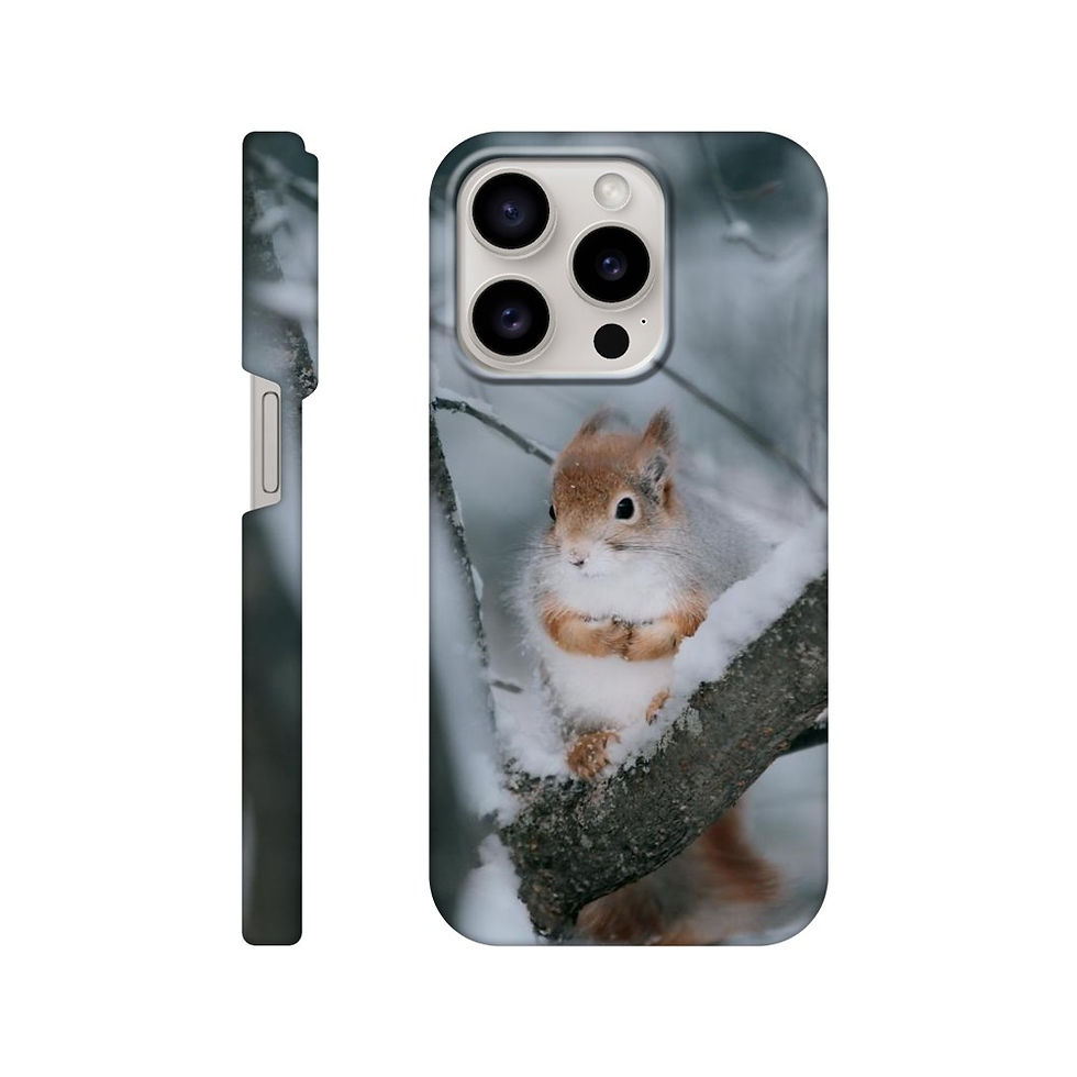 Thumbnail: Slim case