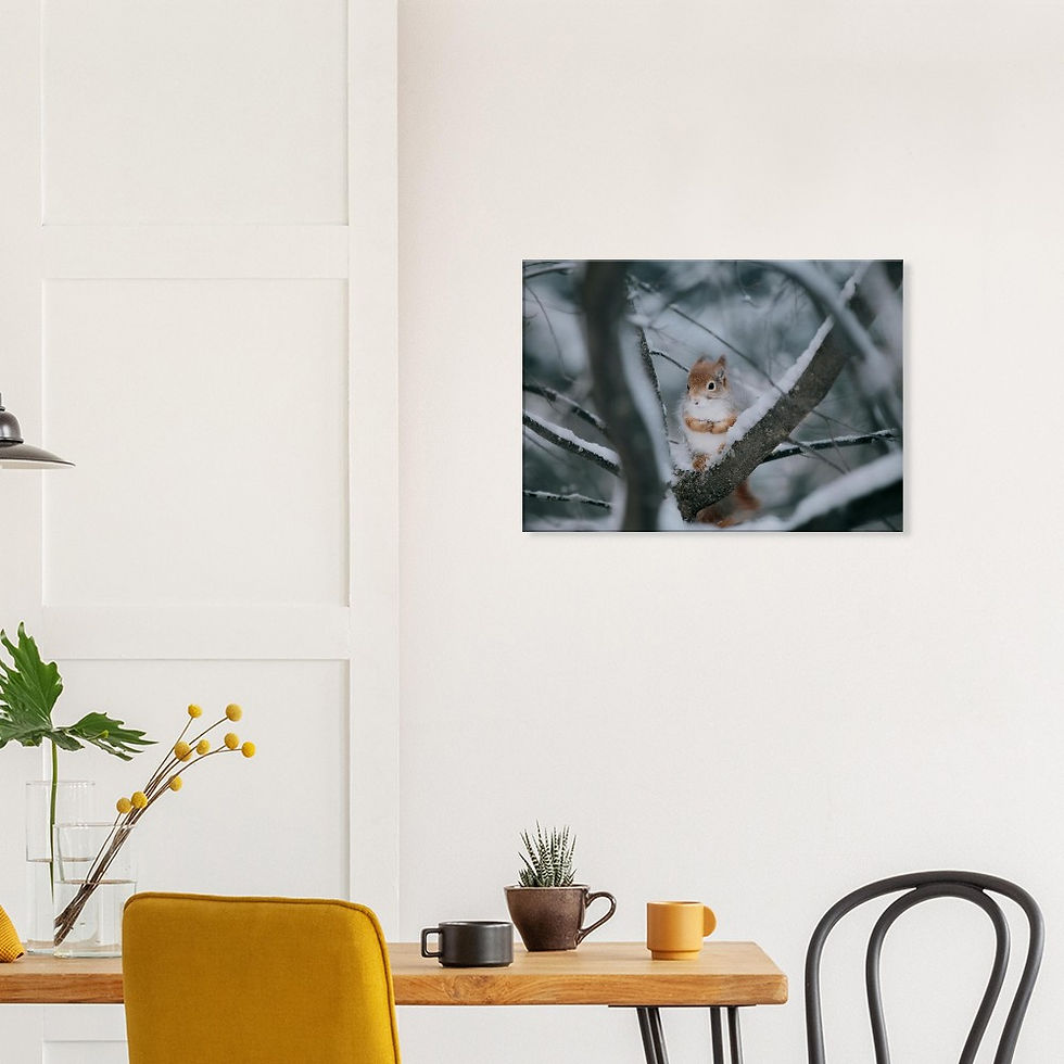 Thumbnail: Canvas