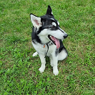 tsApp Bild 2023-07-25 um 20.44.29.jpg