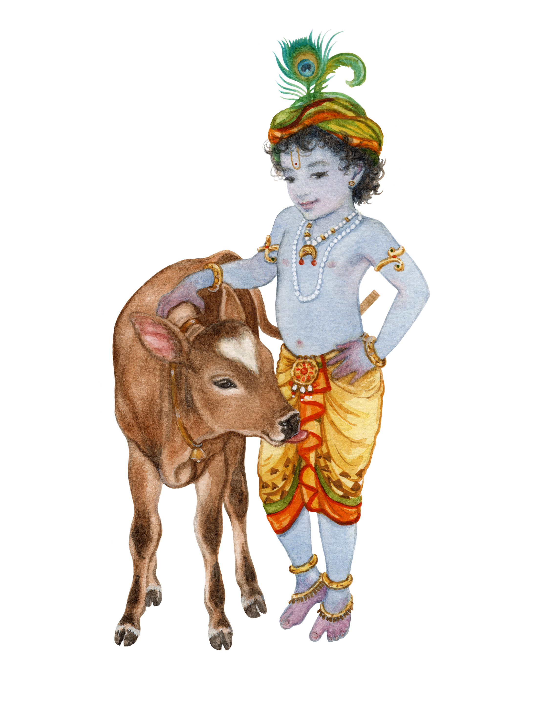 Little Gopal and calf