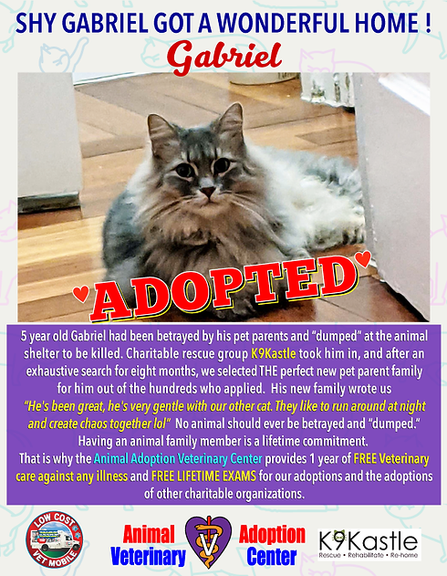 adopted_Gabriel_2021_1.png