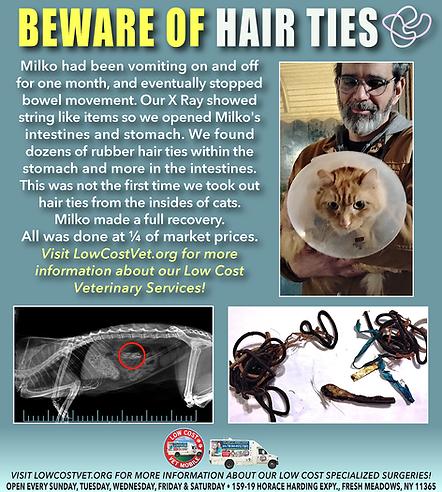 LCVM SURGERY_STORIES_MILKO.png