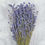 Thumbnail: Lavender Bunch - Flower Arrangement Decor
