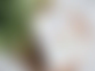 Rezension | 365 Tage | Jule Pieper