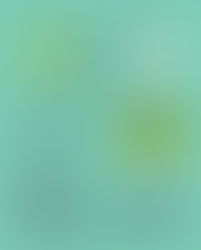 Stomata Vs Chlorophyll