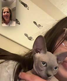 Sphynx Facetime.PNG