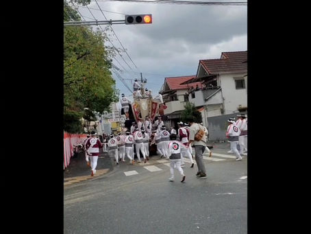 信太だんじり祭