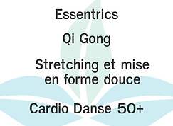 Visuel web cours.png