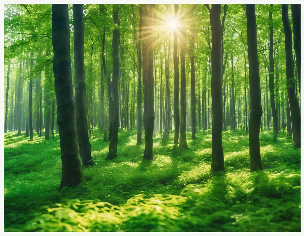 Unveiling the Beauty of Environmental Documentaries