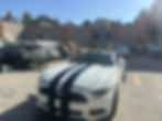 Mustang 2016