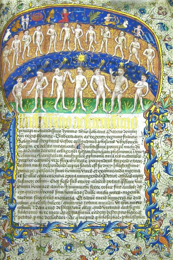 MS 18 Roland of Ulixbon Reductorium physiognomie Zodiac men.jpg