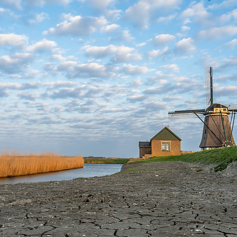 Nature talks Texel