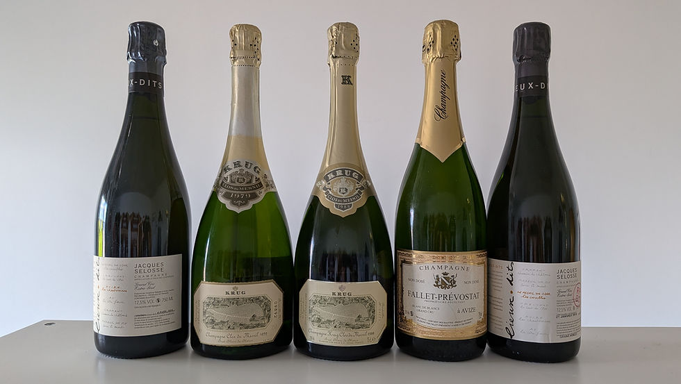 Best of Chardonnay – Eine Zeitreise durch 50 Jahre Perfektion