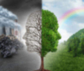 Tree dark and light.jpeg