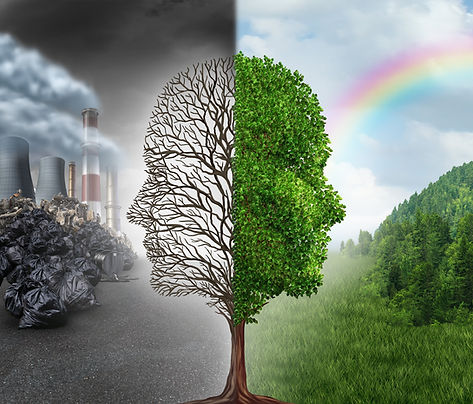 Tree dark and light.jpeg