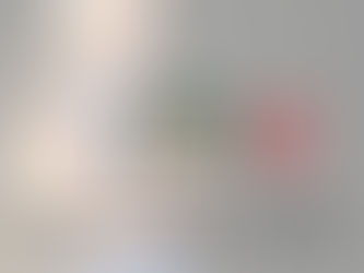 Kaikkien aikojen missifinaali: alaston säätyttö, Playboy-malli... ja yksi ruumis! 🇫🇮