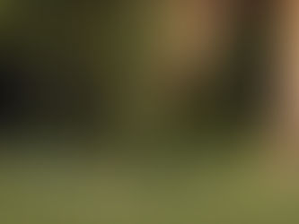 Molempi on toki reikäpeli... 10 syytä miksi golf on parempaa kuin p***o tai maksullinen - reikiäkin enemmän!