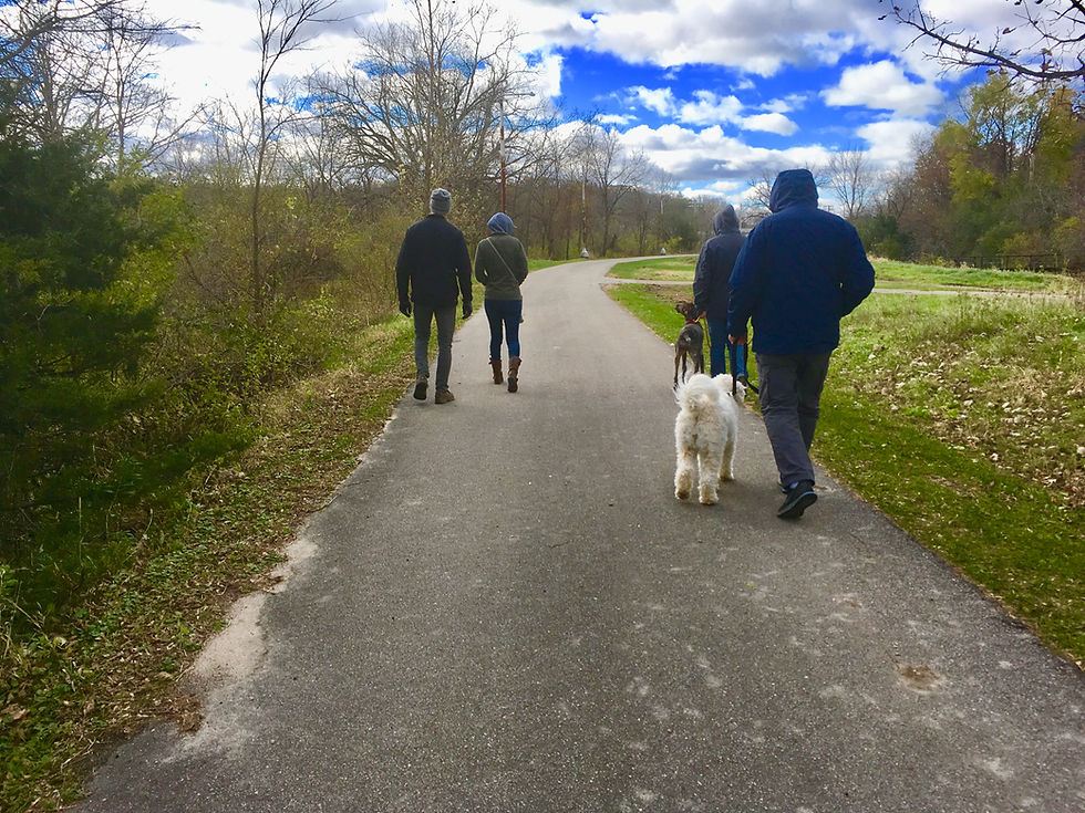 Well mannered dogs know how to follow commands in a variety of environments.