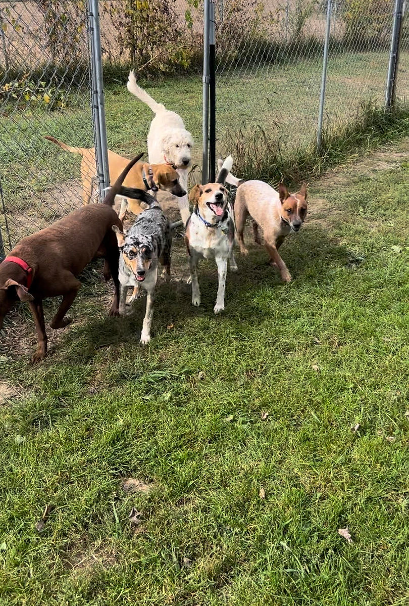 boarding group gate outside.jpg