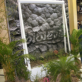Jardim_com_Fênix,_Palmeira_Areca_e_Kalan